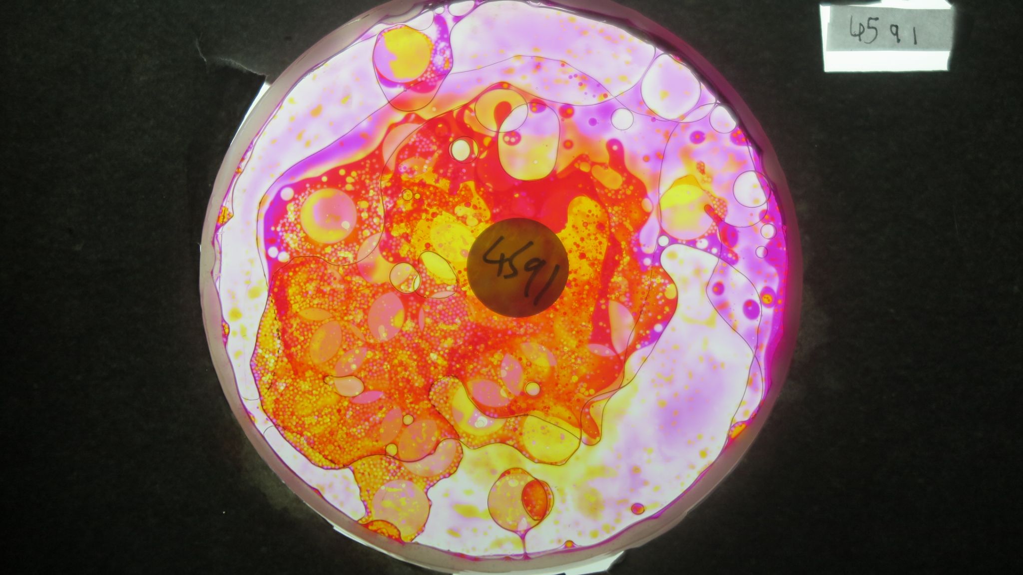 BV4591 bubble vision oil wheel